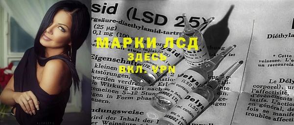 ПСИЛОЦИБИНОВЫЕ ГРИБЫ Липки