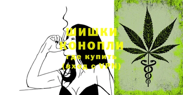 ПСИЛОЦИБИНОВЫЕ ГРИБЫ Липки