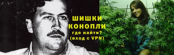ПСИЛОЦИБИНОВЫЕ ГРИБЫ Липки