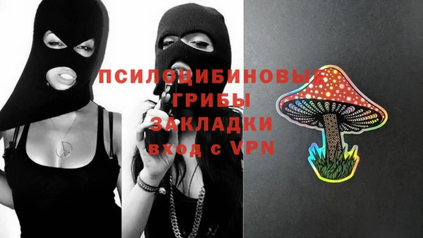 ПСИЛОЦИБИНОВЫЕ ГРИБЫ Липки